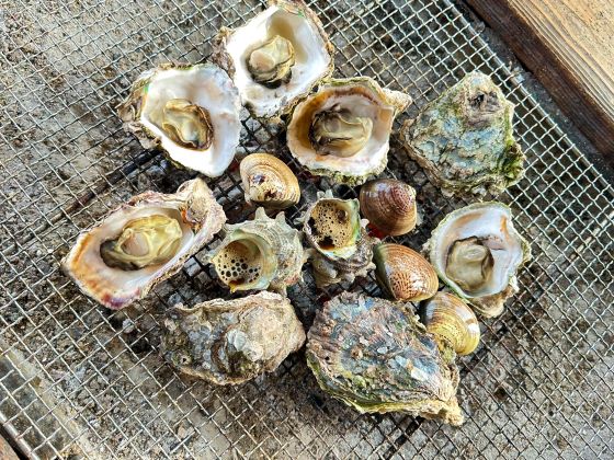 【バスハイク/天神発着/添乗員同行】 パワーチャージ!有明海を望む鹿島で牡蠣食べ放題! 肥前浜宿の酒蔵で生酒のテイスティング♪ ~朱色の本殿が映える祐徳稲荷神社・エネルギーを感じる武雄の大楠~1